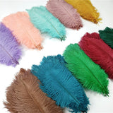10Pcs/Lot Ostrich Feathers 30-50cm DIY Crafts