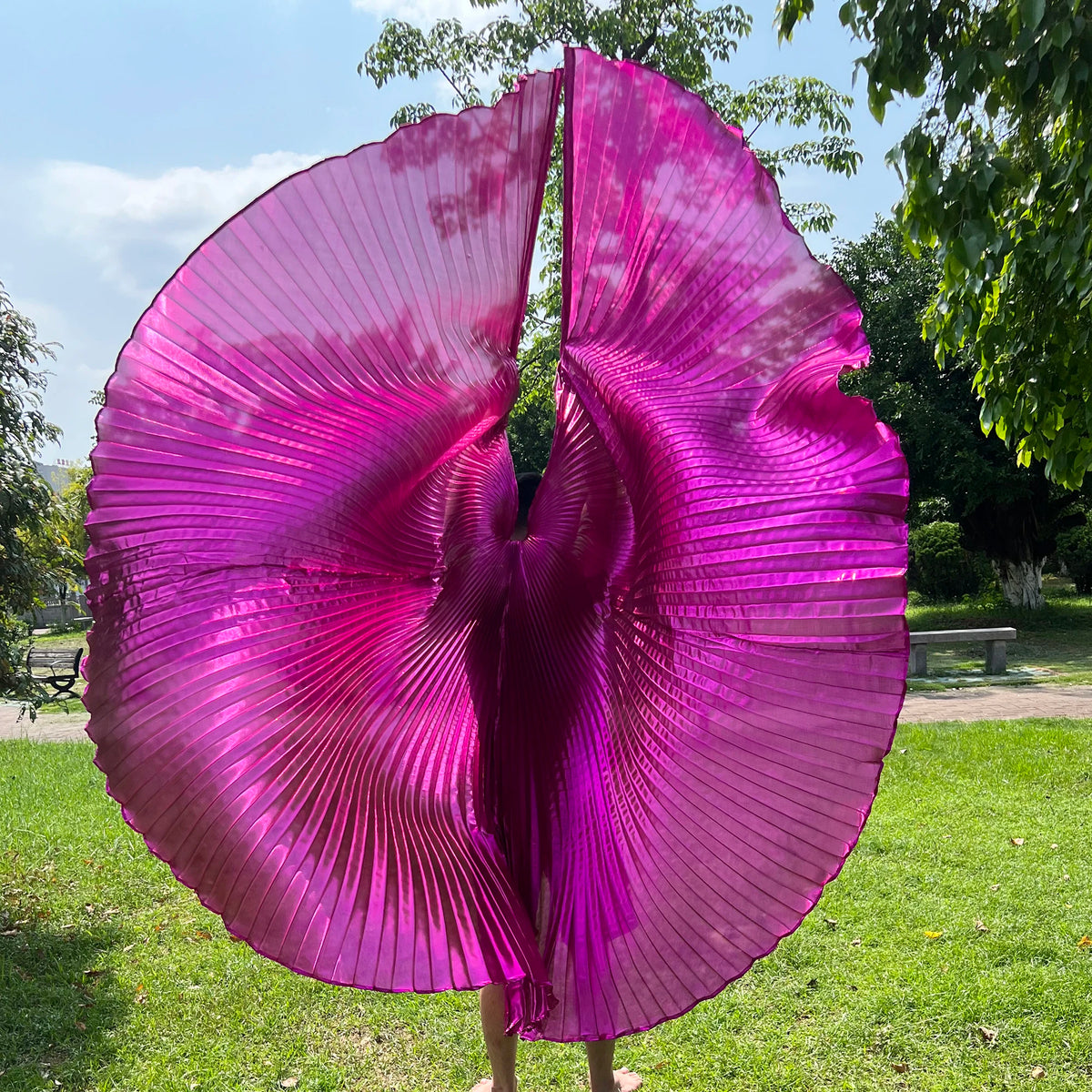 Transparent Iridescent Stage Performance Egyptian 300 Degree Wings Belly Dance Isis Wings