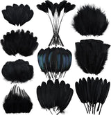 50/100 Pcs Black Goose Chicken Pheasant Feathers DIY Crafts