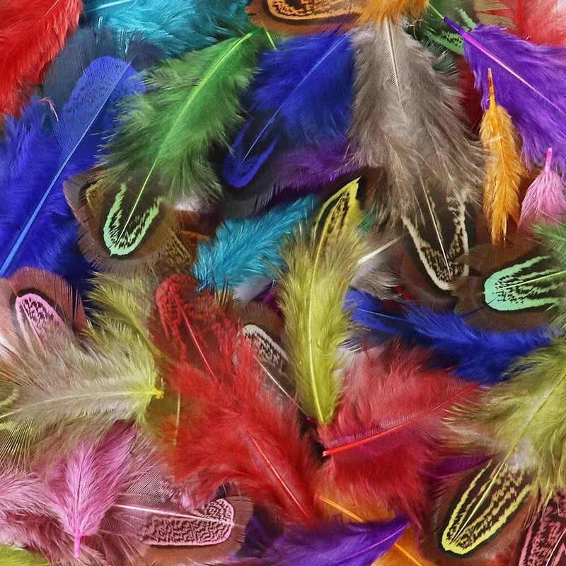 100Pcs Pheasant Chicken Feathers for DIY Crafts