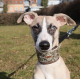 Italian Ribbon Soft Comfortable Extra Wide Collars for Dogs Pet Accessories