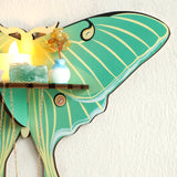 Luna Moth Necklace Display Wooden Floating Shelves Boho Home Decoration