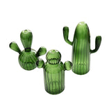 Cactus Glass Vase Hydroponics Plant Vase