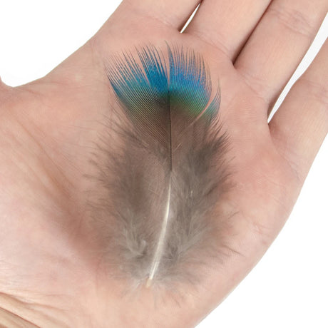 Peacock Feathers DIY Crafts 10/20/50/100PCS