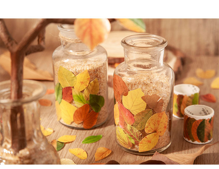 Fallen Leaves Stickers Washi Tape