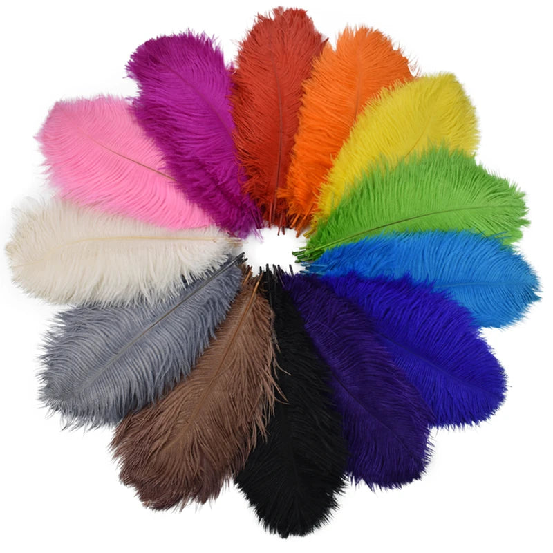 10Pcs/Lot Ostrich Feathers 30-50cm DIY Crafts