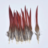 Natural Pheasant Feathers 5~25cm/2-10" DIY Crafts