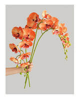 1 Stem Artificial Moth Orchid Butterfly Flower