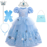 Cinderella Princess Dress Costume Sets