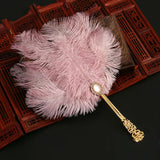 Ostrich Feather Fan Round Fan with Golden Hollow Handle Court Dance Hand Fans