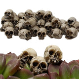 20pcs Mini Skulls Decor Skeleton Heads DIY Halloween Crafts Decoration