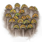 Peacock Feathers DIY Crafts 10/20/50/100PCS