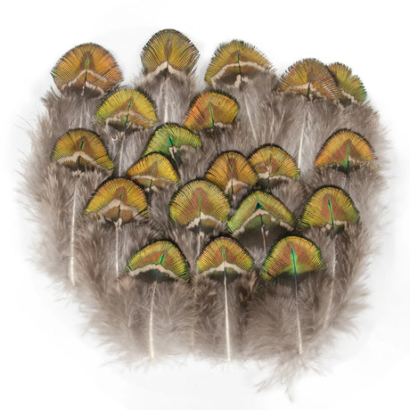Peacock Feathers DIY Crafts 10/20/50/100PCS