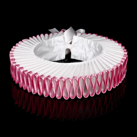 Elizabethan Tudor Ruff Collar Photoshoot Halloween Costume