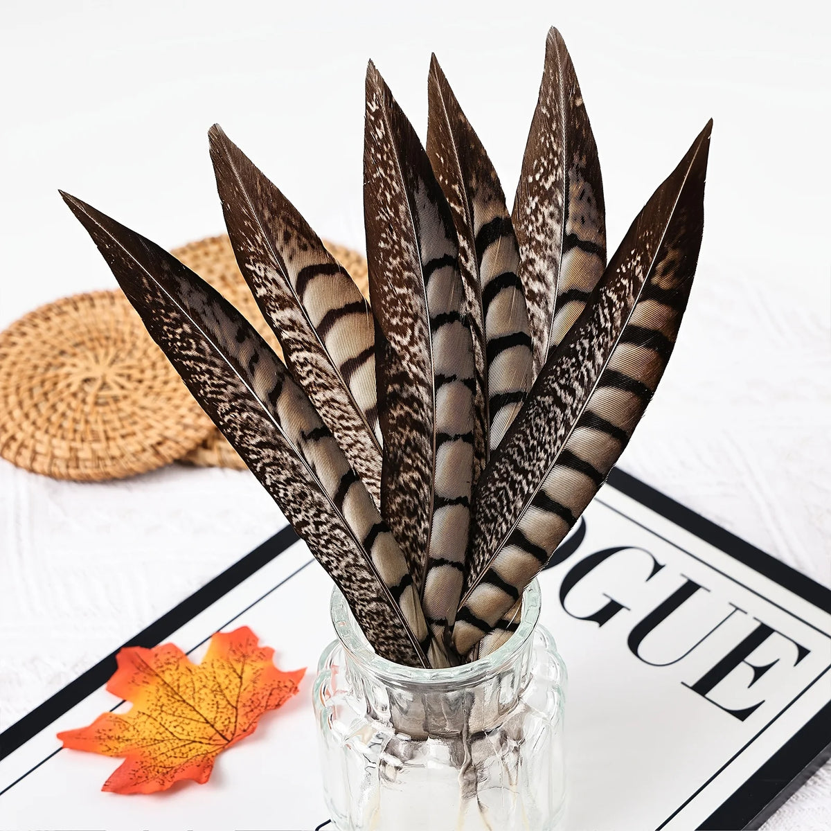 Natural Ringneck Pheasant Tail Feathers 6-18 Inches DIY Handmade Crafts
