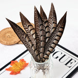 Natural Ringneck Pheasant Tail Feathers 6-18 Inches DIY Handmade Crafts