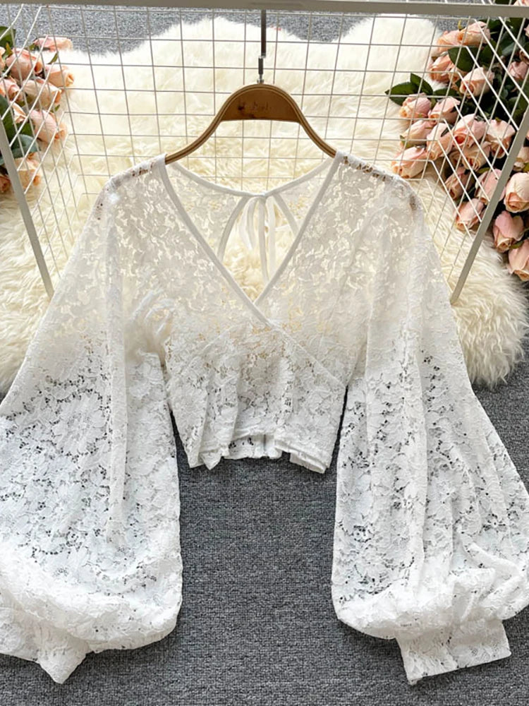 Lace Crop Top Black/White/Brown Long Lantern Sleeve