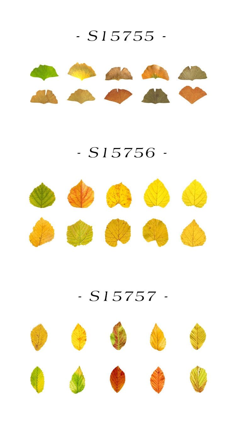 Fallen Leaves Stickers Washi Tape