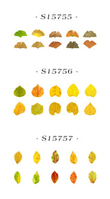 Fallen Leaves Stickers Washi Tape