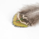 Peacock Feathers DIY Crafts 10/20/50/100PCS