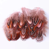 100Pcs Pheasant Chicken Feathers for DIY Crafts