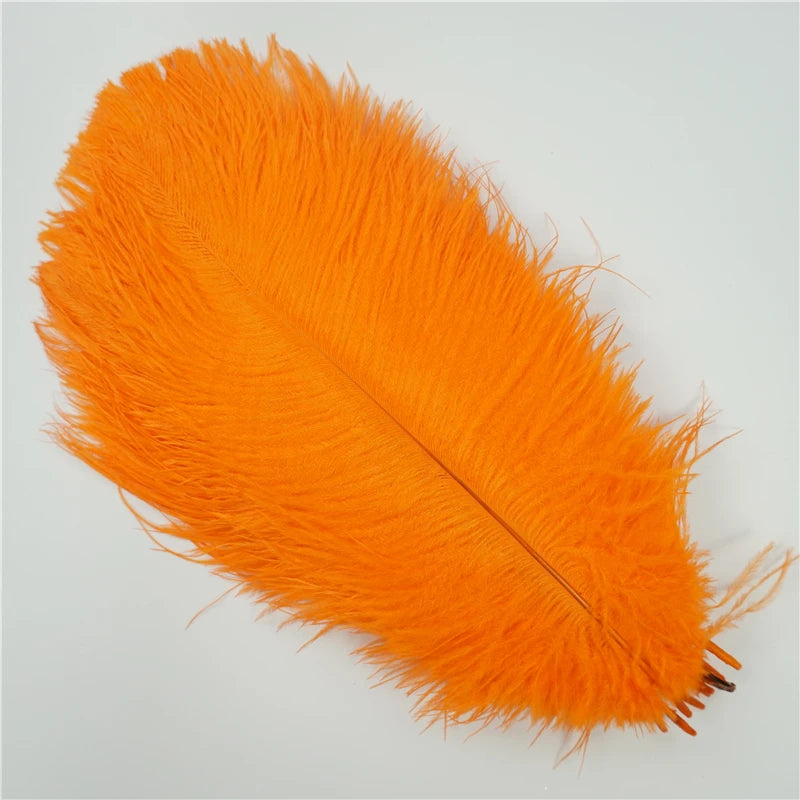 10Pcs/Lot Ostrich Feathers 30-50cm DIY Crafts