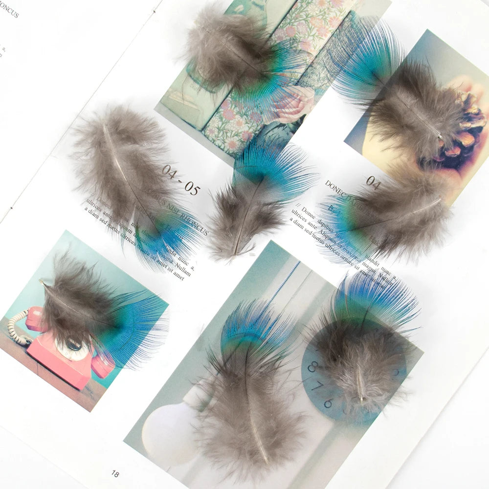 Peacock Feathers DIY Crafts 10/20/50/100PCS