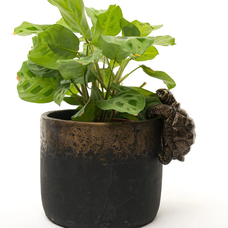 Resin Turtle Planter Pot Decor