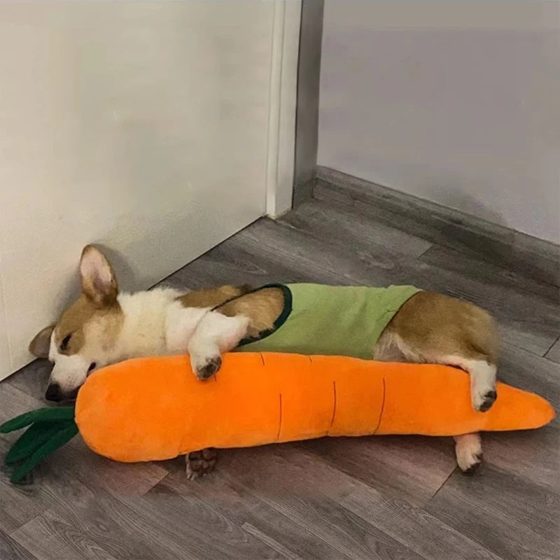 Carrot Plush Toy Pet Chew Toy