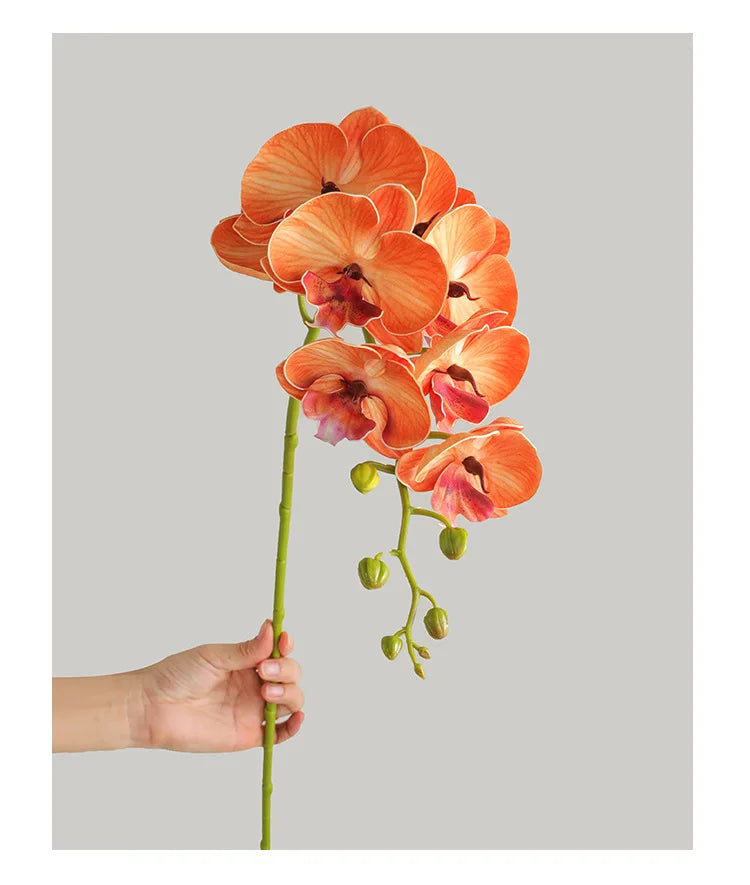 1 Stem Artificial Moth Orchid Butterfly Flower