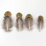 Peacock Feathers DIY Crafts 10/20/50/100PCS