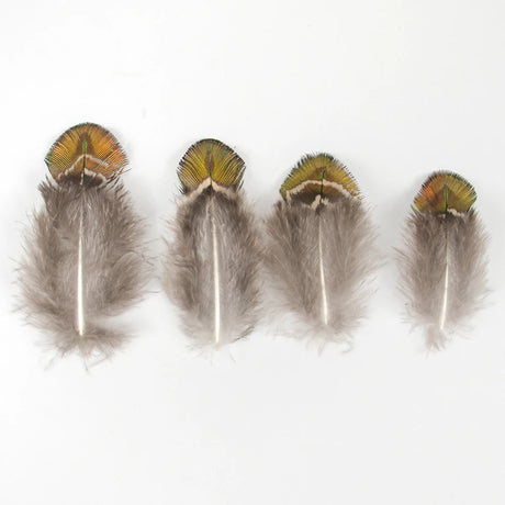 Peacock Feathers DIY Crafts 10/20/50/100PCS