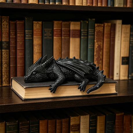 Resin Sleeping Baby Dragon Bookshelf Ornament
