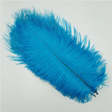 10Pcs/Lot Ostrich Feathers 30-50cm DIY Crafts