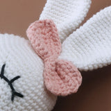 Handmade Crochet Plush Dolls