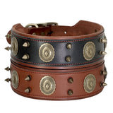 Genuine Leather Dog Collar 2inch Wide Rivets and Spikes Medieval Cosplay