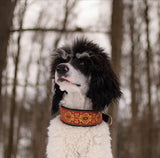 Italian Ribbon Soft Comfortable Extra Wide Collars for Dogs Pet Accessories