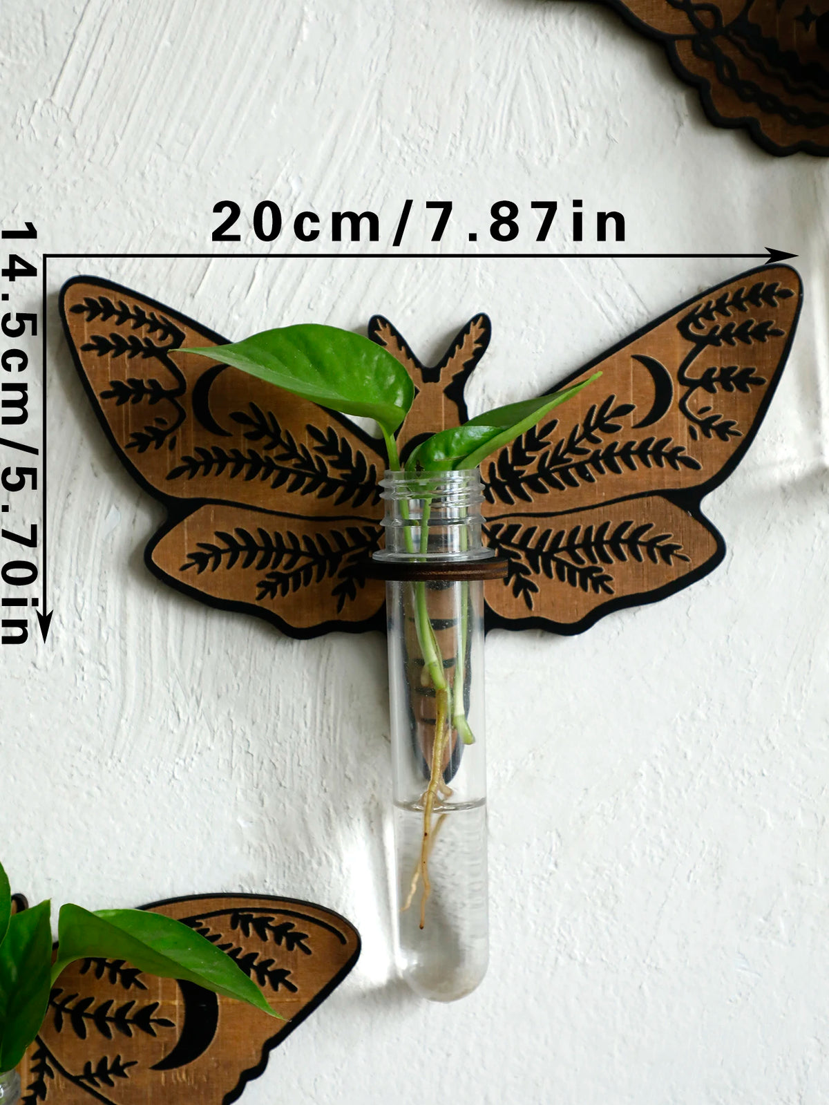 Butterfly Wall-Mounted Propagation Station Wooden Hanging Plant Holder with Plastic Tubes for Indoor Plants