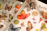 Vintage Big Butterfly RUB ON Transfer Stickers Scrapbooking DIY Craft Supplies Junk Journaling