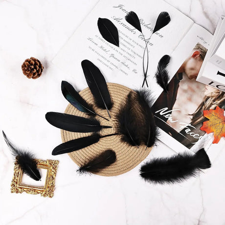 50/100 Pcs Black Goose Chicken Pheasant Feathers DIY Crafts
