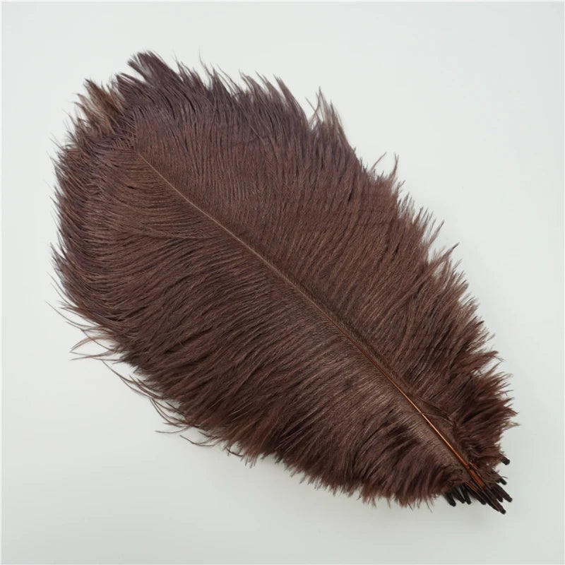 10Pcs/Lot Ostrich Feathers 30-50cm DIY Crafts