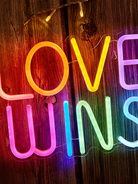 LED Neon Sign LOVE WINS USB Night Light Wall Art Decor Lamp