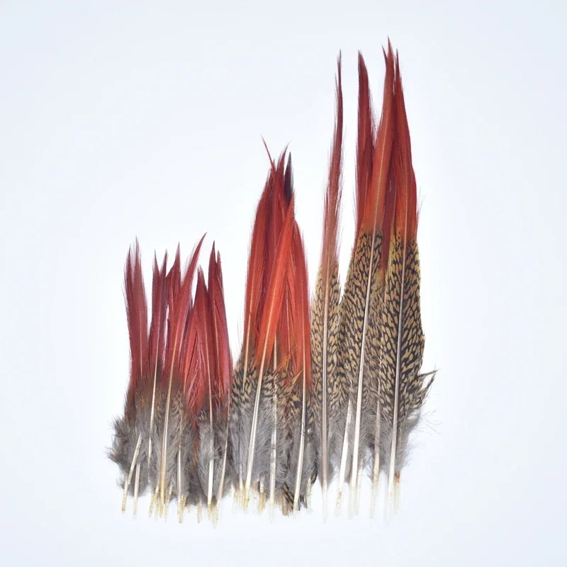 Natural Pheasant Feathers 5~25cm/2-10" DIY Crafts