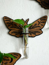 Butterfly Wall-Mounted Propagation Station Wooden Hanging Plant Holder with Plastic Tubes for Indoor Plants