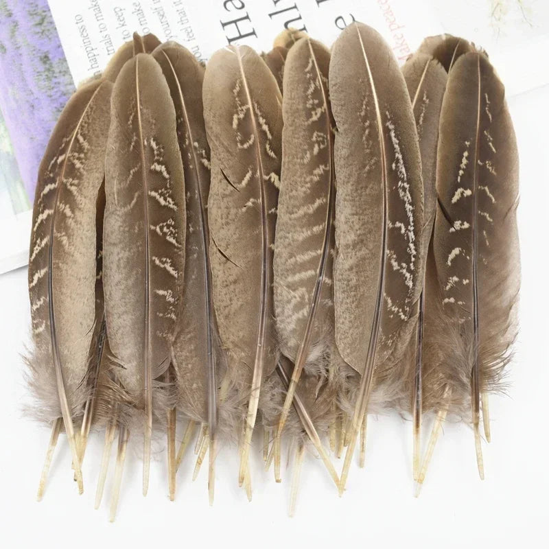 Natural Pheasant Feathers DIY Crafts Decor