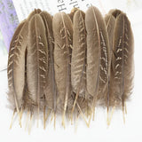 Natural Pheasant Feathers DIY Crafts Decor
