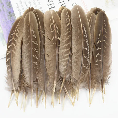 Natural Pheasant Feathers DIY Crafts Decor