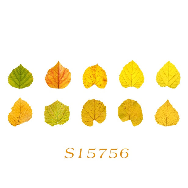 Fallen Leaves Stickers Washi Tape