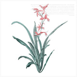 Orchid Flower Iron on Applique Floral Patch DIY Craft 19 X 24.5CM
