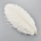 10Pcs/Lot Ostrich Feathers 30-50cm DIY Crafts